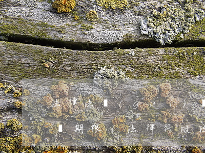 法律法規(guī)規(guī)章草案公開期限(法律,行政法規(guī)規(guī)定公開的事項,應當公開嗎)