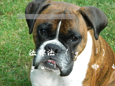 法律法規(guī)軟件哪個好(法律法規(guī)軟件哪個好)