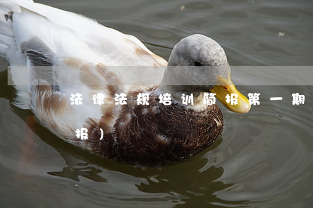 法律法规培训简报第一期(宣讲法律法规简报)