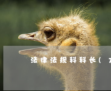 法律法规科科长(大家好)