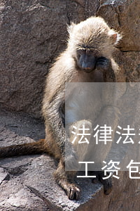 法律法规规定工资表中有哪些项(劳动法中工资包含哪些项目)