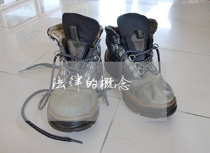 法律的概念