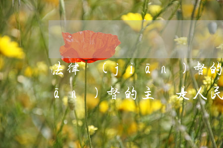 法律監(jiān)督的主體(法律監(jiān)督的主體是人民群眾客體是國(guó)家機(jī)關(guān))