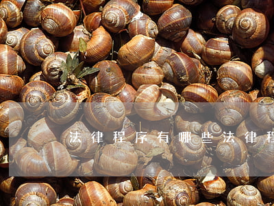 法律程序有哪些(法律程序有哪些)
