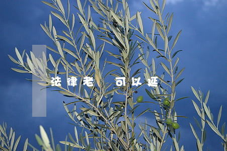 法律老師可以延課嗎