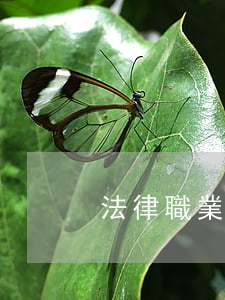 法律職業(yè)資格證書a類