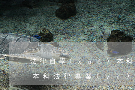 法律自學(xué)本科可以考司法嗎(自考本科法律專業(yè)可以考司法證嗎?)