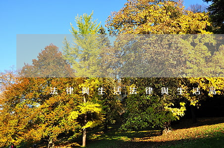 法律與生活(法律與生活高中政治)