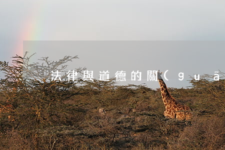 法律與道德的關(guān)系