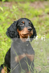 法律行为的效力竞合之认定