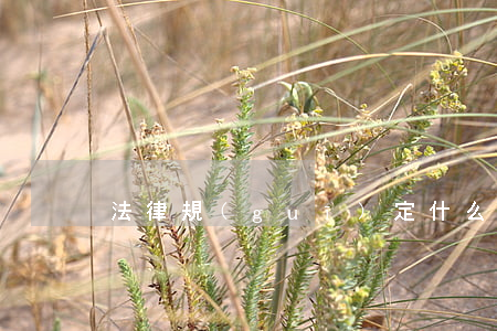 法律規(guī)定什么是指聚眾淫亂罪