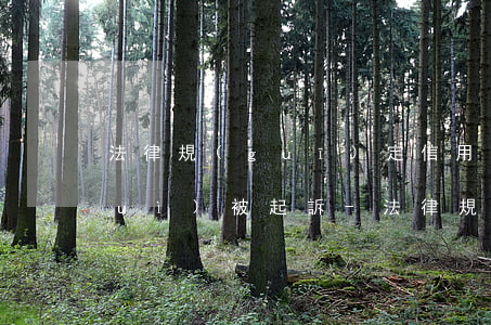 法律規(guī)定信用卡逾期多久會(huì)被起訴-法律規(guī)定信用卡逾期多久會(huì)被起訴呢