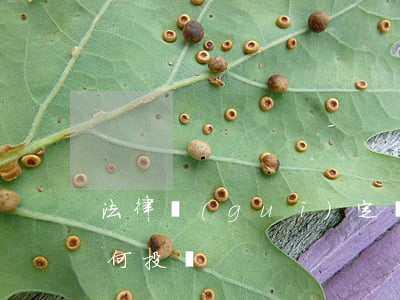 法律規(guī)定價(jià)格欺詐如何投訴