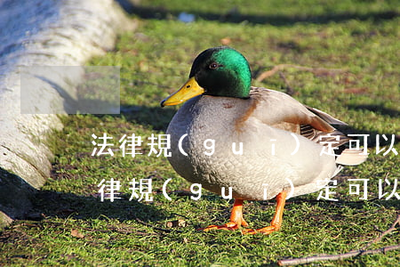 法律規(guī)定可以補(bǔ)辦嗎(法律規(guī)定可以補(bǔ)辦嗎)