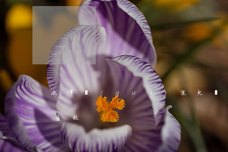 法律規(guī)定欠條幾年有效(欠條幾年生效)