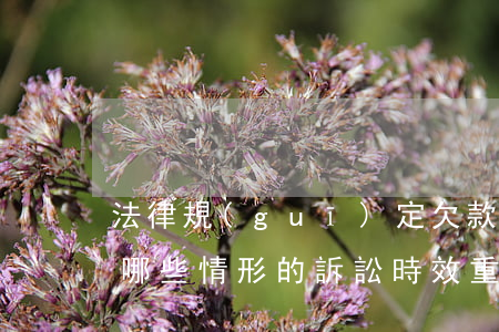 法律規(guī)定欠款訴訟時效是什么（有哪些情形的訴訟時效重新計算）