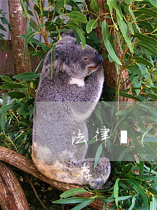 法律規(guī)定的提存是向什么單位提存