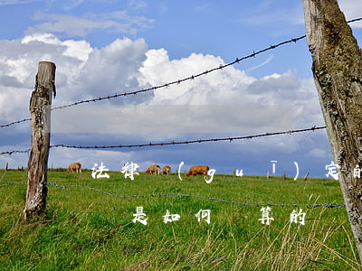 法律規(guī)定的醫(yī)療事故賠償是如何計算的