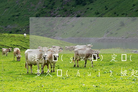 法律規(guī)定網(wǎng)貸逾期多久會(huì)被起訴了(網(wǎng)貸逾期多久可以起訴)