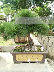 法律規(guī)定網(wǎng)貸逾期多久會被起訴(網(wǎng)貸逾期多久可以起訴)