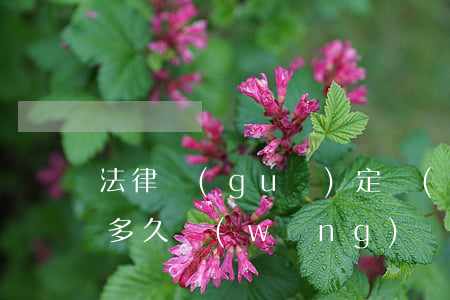 法律規(guī)定網(wǎng)貸逾期多久(網(wǎng)貸可以逾期多長時(shí)間)