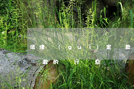 法律規(guī)定貸款逾期罰金(逾期償還貸款的銀行罰息)