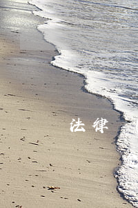 法律規(guī)定車貸逾期必須還全款嗎(車貸逾期了必須全部還清嗎)