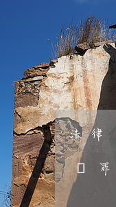 法律規(guī)定逃避稅收定什么罪（對逃稅罪是如何認定的）