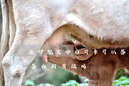 法律规定分公司章可以签合同吗(分公司的章签合同有效吗)