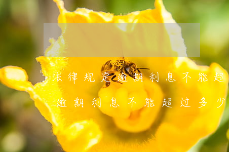 法律规定逾期利息不能超过多少-法律规定逾期利息不能超过多少钱