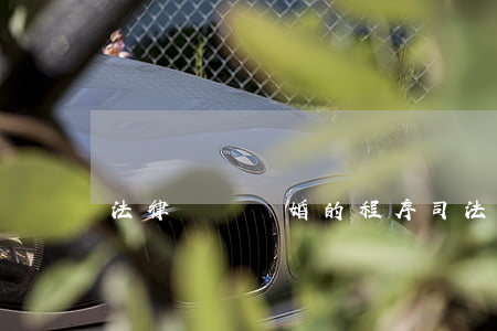 法律訴訟離婚的程序(司法起訴離婚程序)