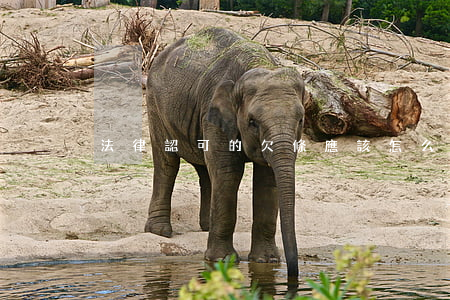 法律認可的欠條應該怎么寫
