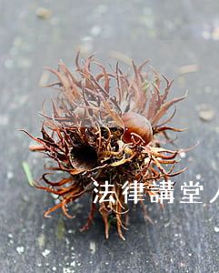 法律講堂人命案(法律講堂生活版命案悲劇)