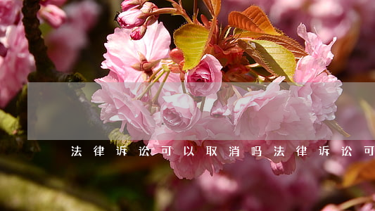 法律诉讼可以取消吗(法律诉讼可以取消吗)