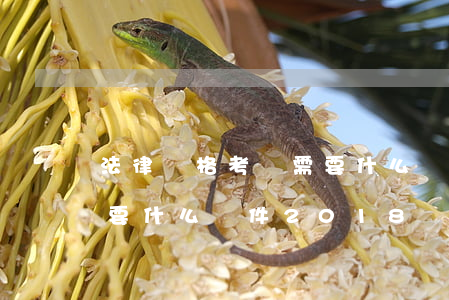 法律資格考試需要什么條件(法律資格考試需要什么條件2018)