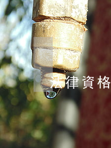 法律資格證報考條件