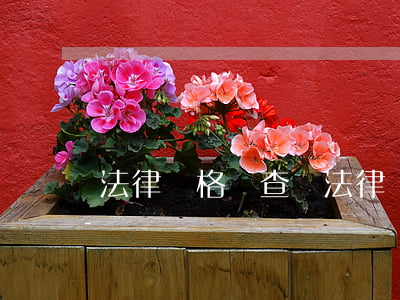 法律資格證查詢(法律資格證查詢)