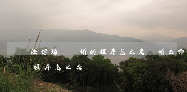 法律起訴離婚的程序怎么走(離婚去哪里起訴程序怎么走)