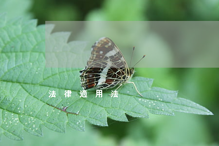 法律適用法