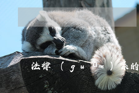 法律關(guān)系的客體