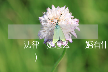 法律離婚怎么離(離婚有什么法律法規(guī))