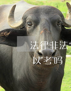法律非法学可以考法院吗(法考非法学专业可以考吗)