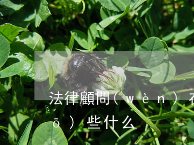 法律顧問(wèn)在談判中要說(shuō)些什么