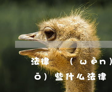 法律顧問(wèn)在談判中要說(shuō)些什么(法律顧問(wèn)在商務(wù)談判中的作用)