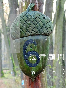 法律顧問(wèn)是不是律師(法律顧問(wèn)必須是執(zhí)業(yè)律師嗎)