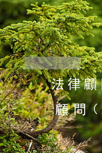 法律顧問(wèn)該怎么做(如何成為法律顧問(wèn))