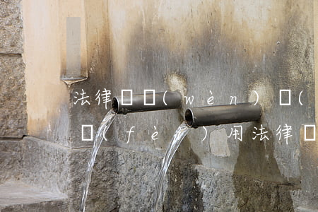 法律顧問(wèn)費(fèi)屬于什么費(fèi)用(法律顧問(wèn)費(fèi)屬于咨詢(xún)費(fèi)嗎)