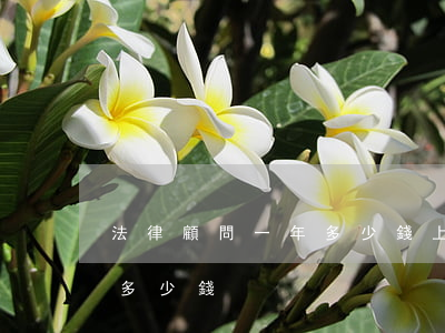 法律顧問一年多少錢(上市公司法律顧問一年多少錢)