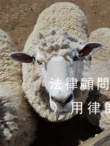 法律顧問費(fèi)屬于什么費(fèi)用(律師顧問費(fèi)屬于什么費(fèi)用)