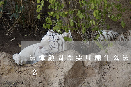法律顧問需要具備什么(法律顧問需要具備什么)